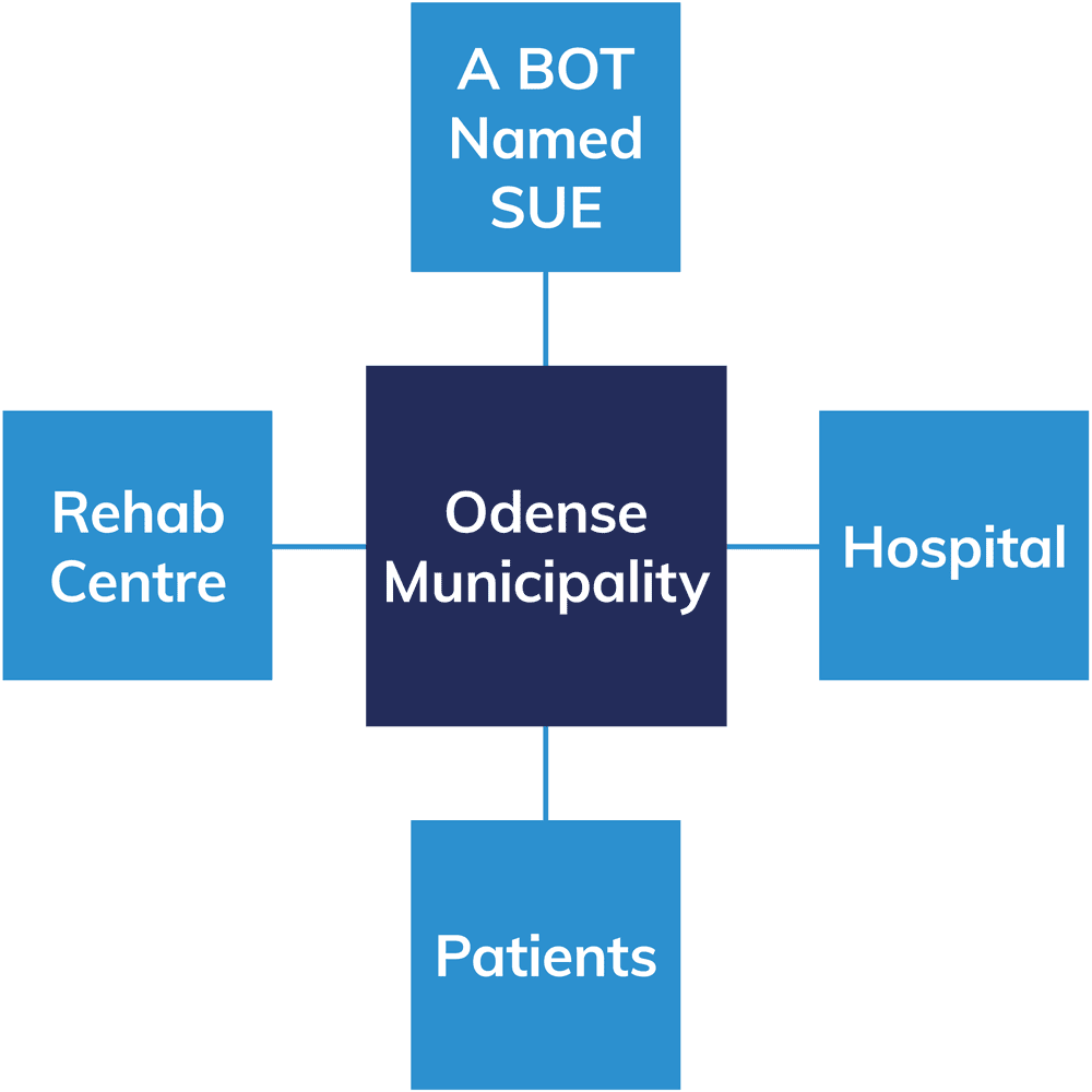 Odnese-Bot-named-SUE-RPA-process-Model